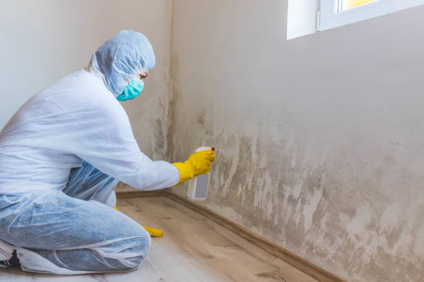 Licensed Crawl Space Mold Removal service in Greensboro, NC - WQB Mold Removal