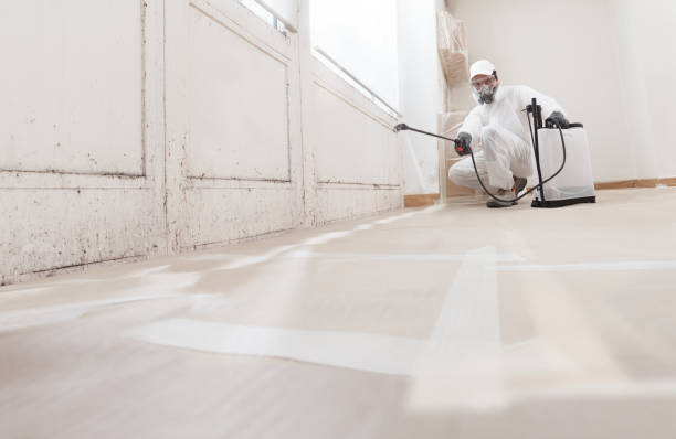 24/7 Emergency Crawl Space Mold Removal experts in Greensboro, NC