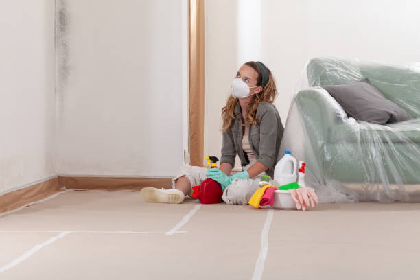 Reliable Crawl Space Mold Removal contractor in Greensboro, NC by WQB Mold Removal