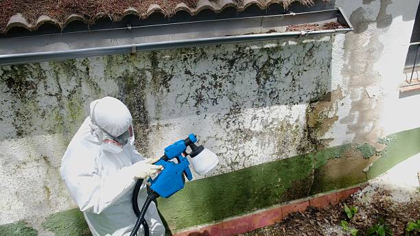Top rated local Crawl Space Mold Removal specialists in Greensboro, NC